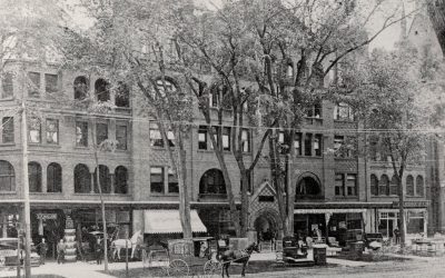 Throwback Thursday: Algonquin: Late 19th Century Luxury Returns to Downtown